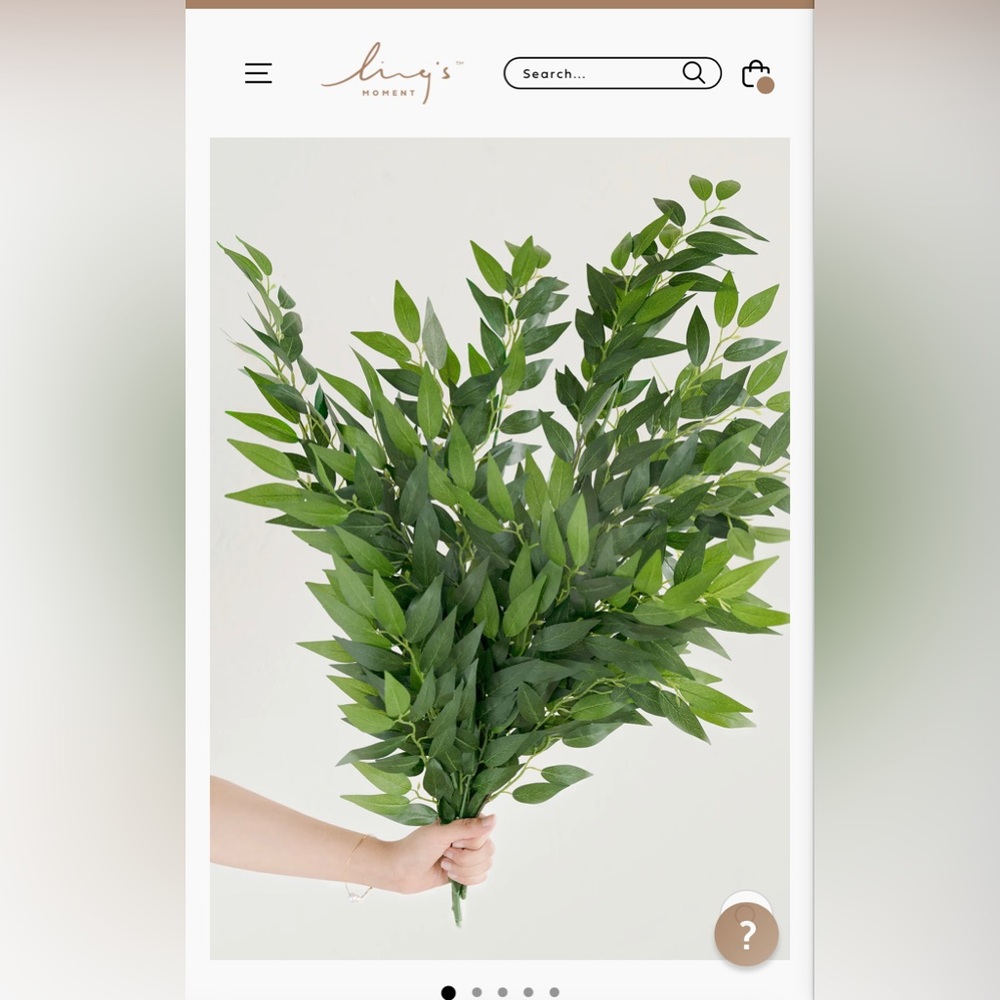 Lings moment Italian Ruscus. Unopened box. With 4 stems per box.